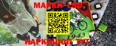 спиды Дубна