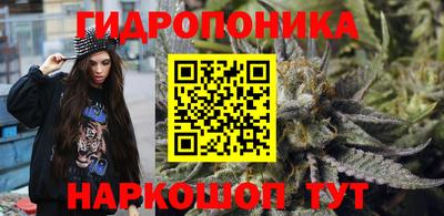 спиды Дубна
