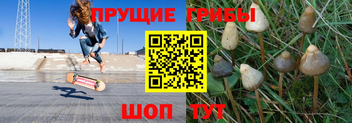 Галлюциногенные грибы Psilocybe  Вход с VPN  Нальчик  Галлюциногенные грибы GOLDEN TEACHER 