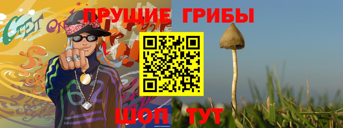 Галлюциногенные грибы прущие грибы Нальчик