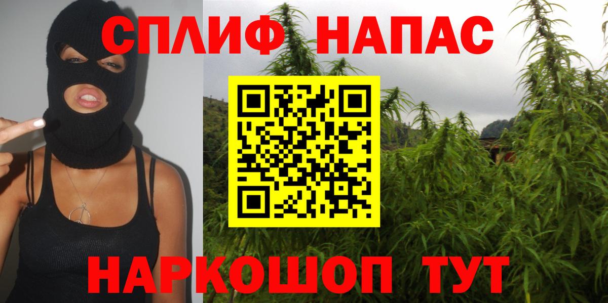 МАРИХУАНА ГИДРОПОН Нальчик